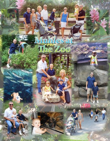 Zoo_collage